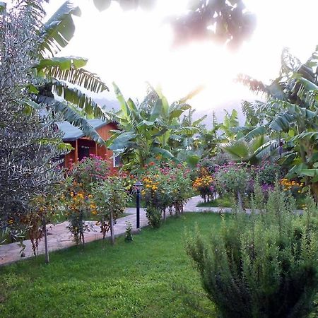Estelar Bungalow Чирали Экстерьер фото
