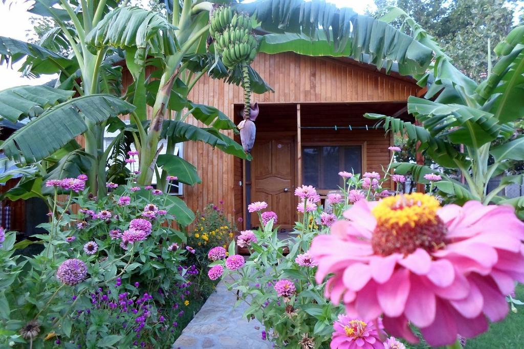 Estelar Bungalow Чирали Экстерьер фото