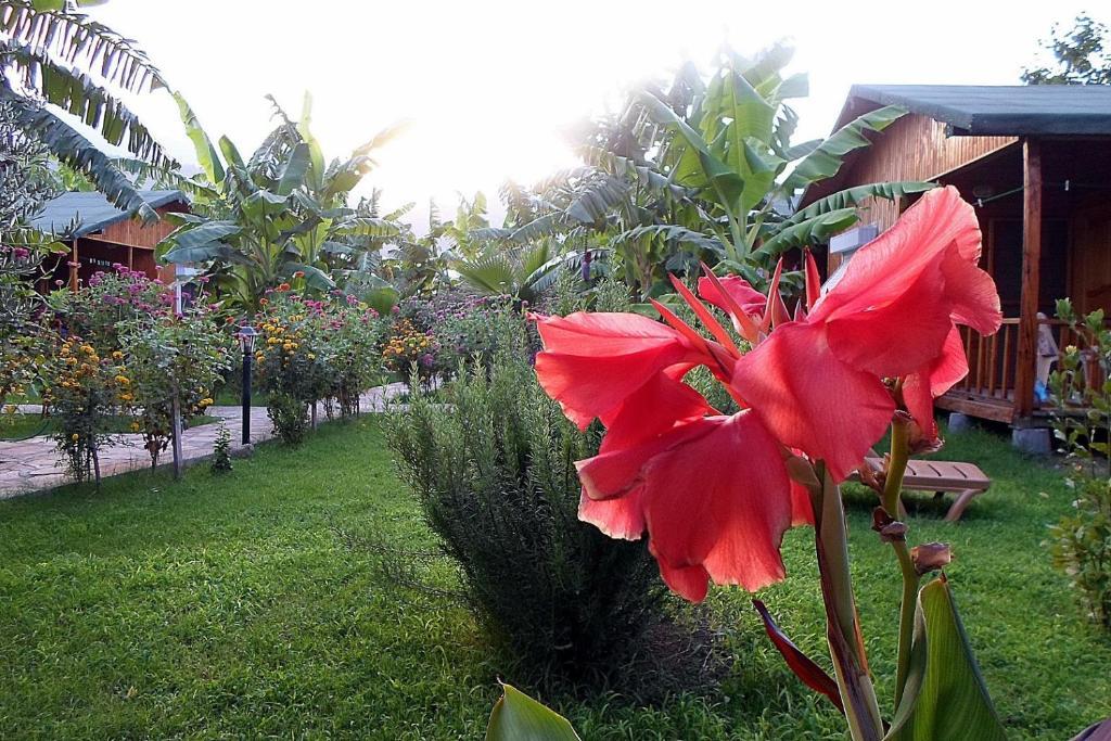 Estelar Bungalow Чирали Экстерьер фото